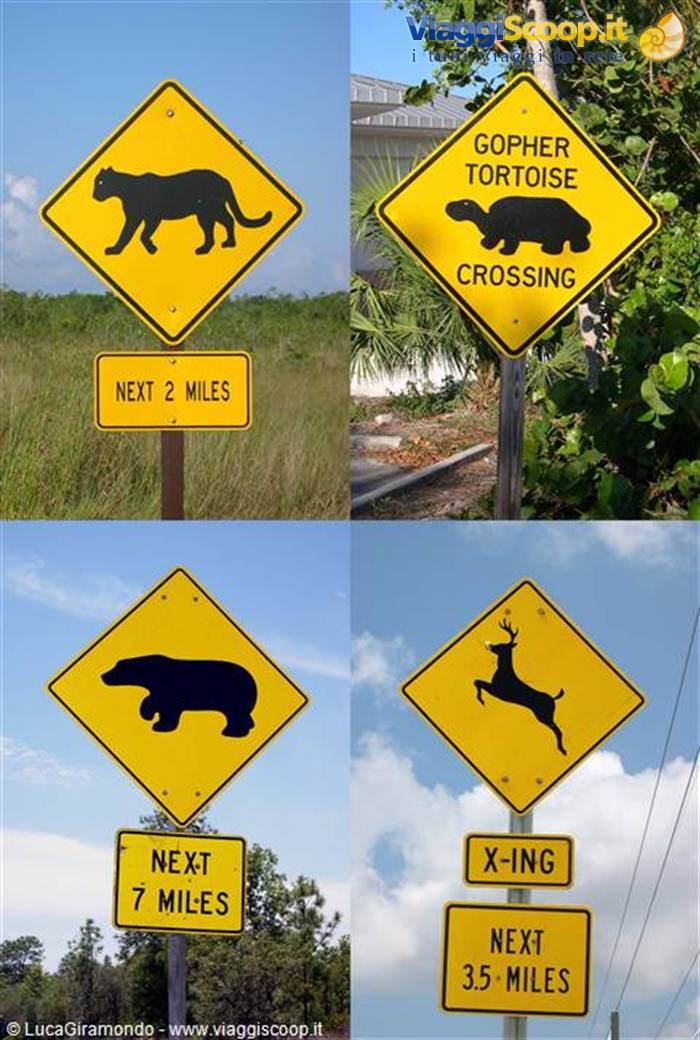 Florida ... Cartelli natura