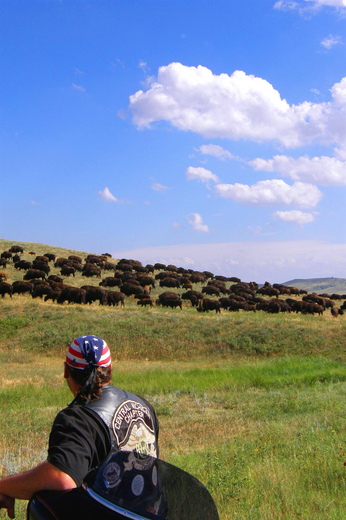 Custer State Park