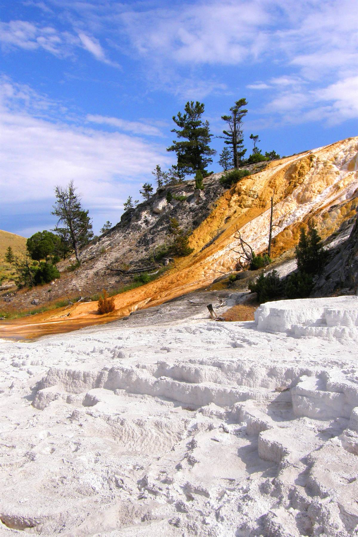 Yellowstone National Park: Mammoth Hot Spring