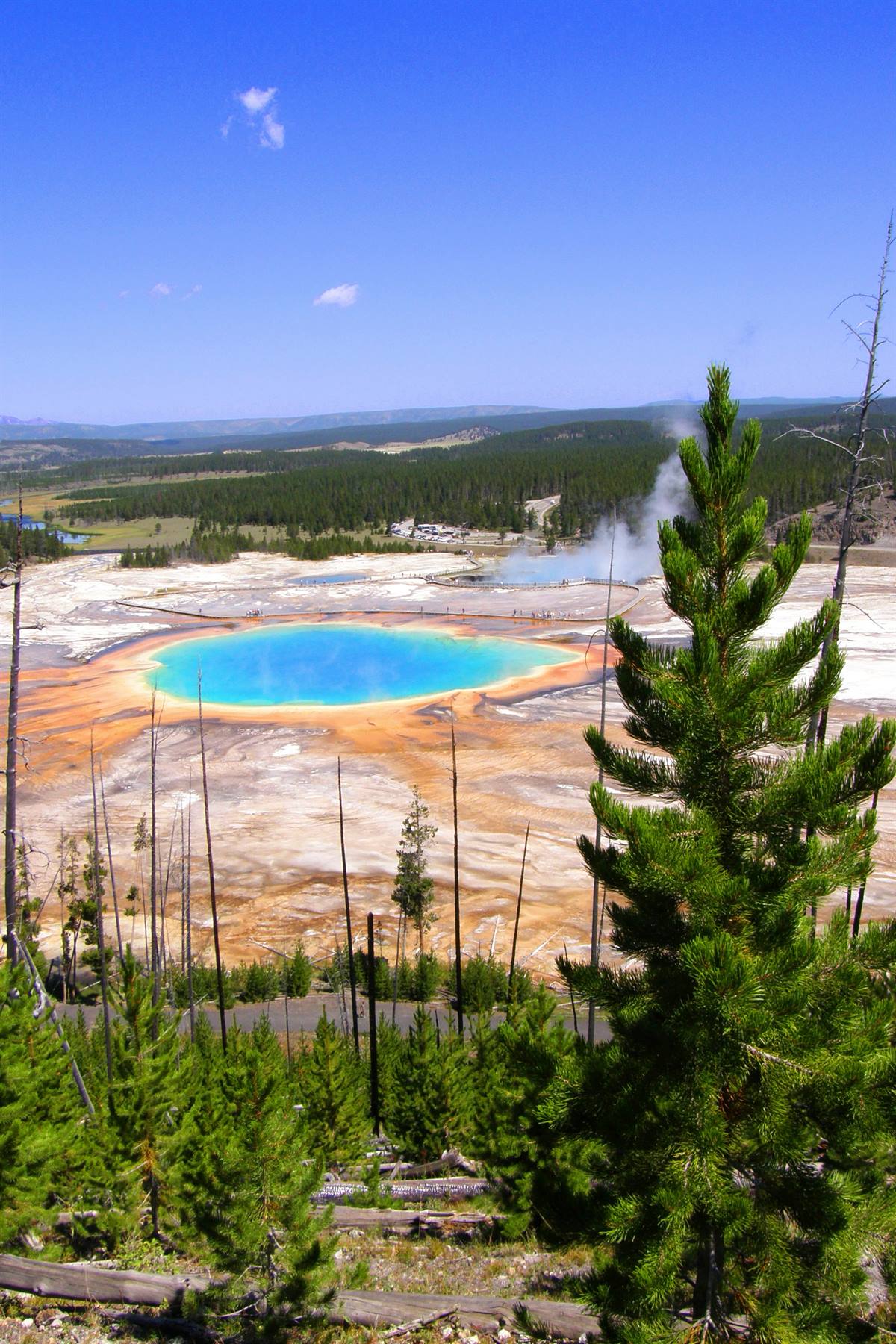 Yellowstone National Park: Grand Prismatic Spring