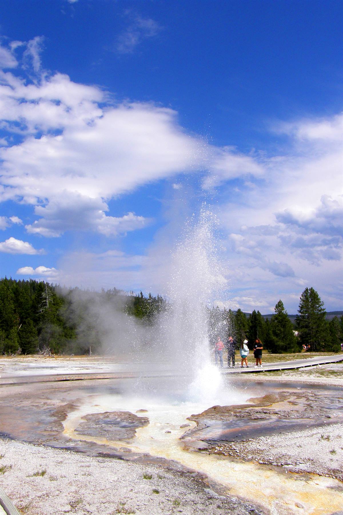 Yellowstone National Park: Old Faithful 