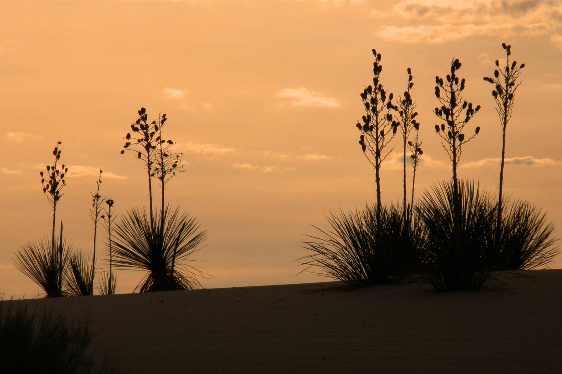 White Sands National Monument