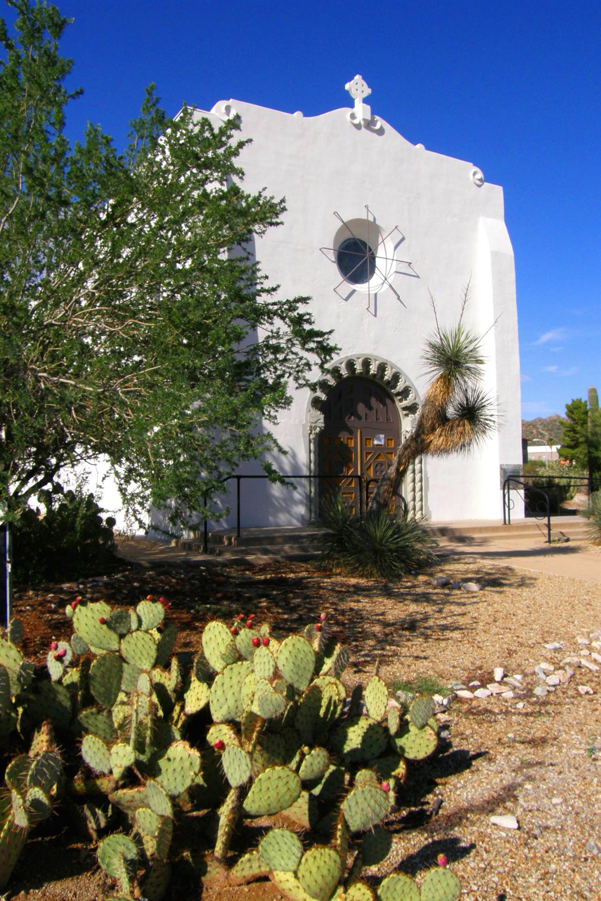 Ajo