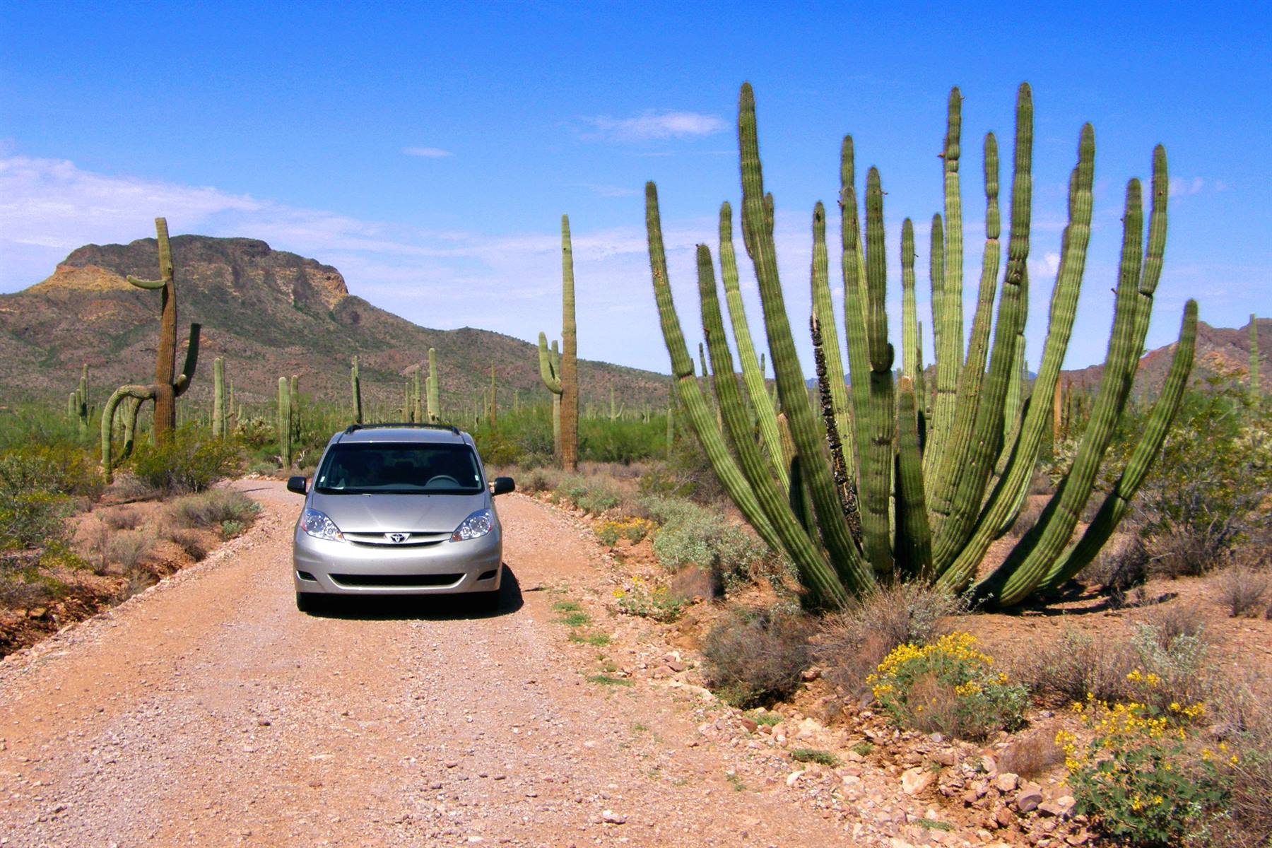 Organ Pipe Cactus National Monument