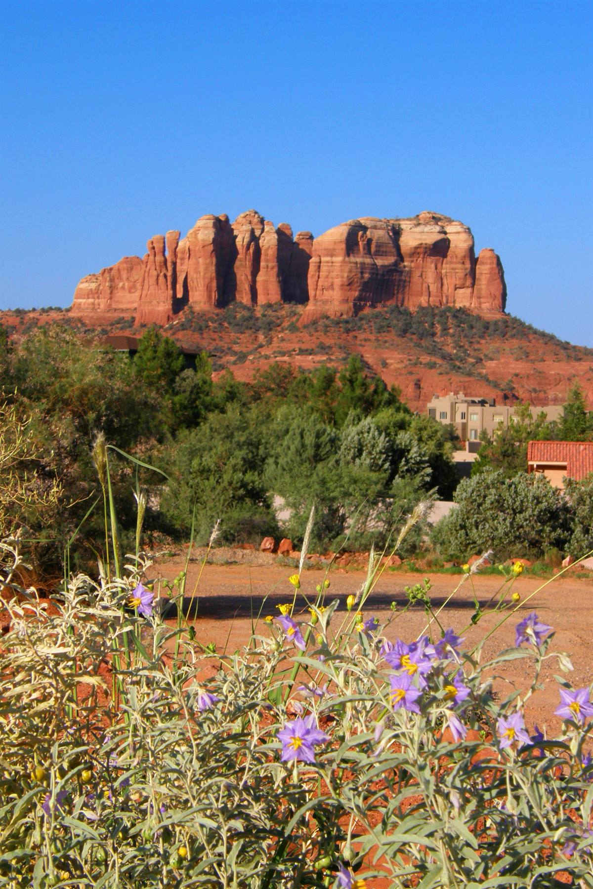 Sedona: Cathedral Rock