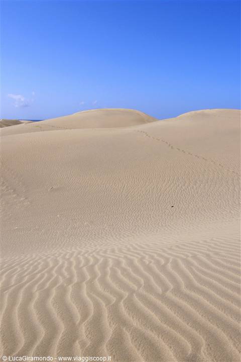 Dune di Maspalomas