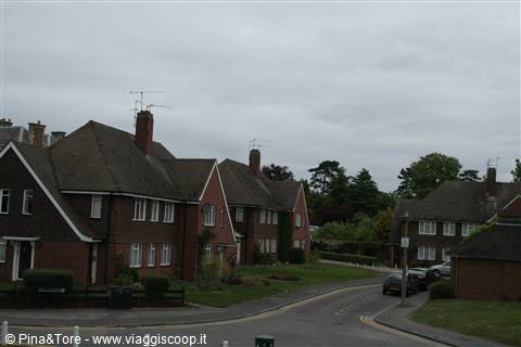 windsor