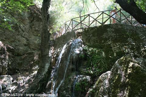 La Valle delle Farfalle (RODI)
