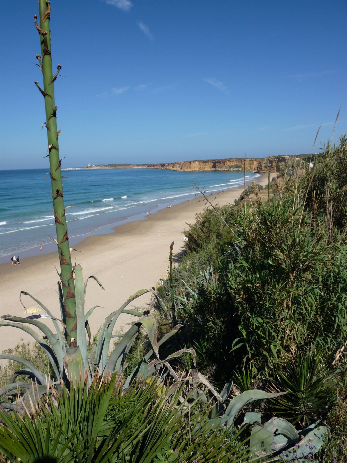 Scorcio sulla spiaggia di Conil de la Frontera