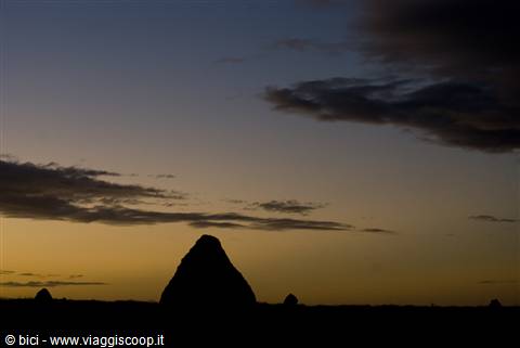 Termitai nel western australia