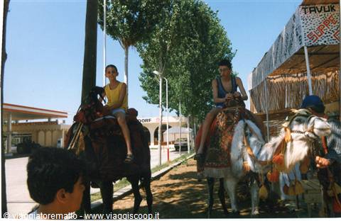 Manavgat - sul dromedario