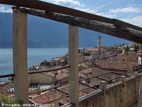 Limone (veduta dalla limonaia)