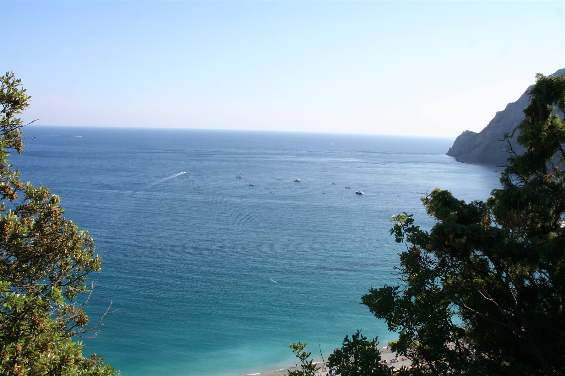 Panorama Monterosso