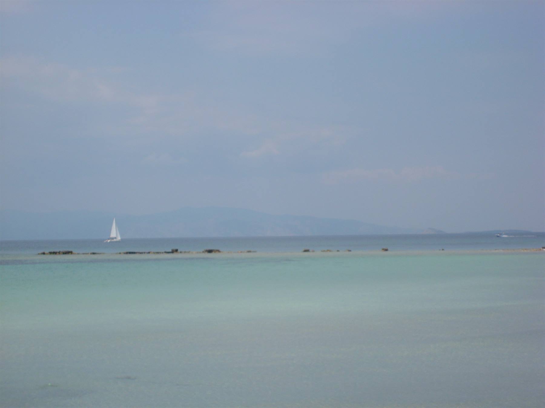 Aegina