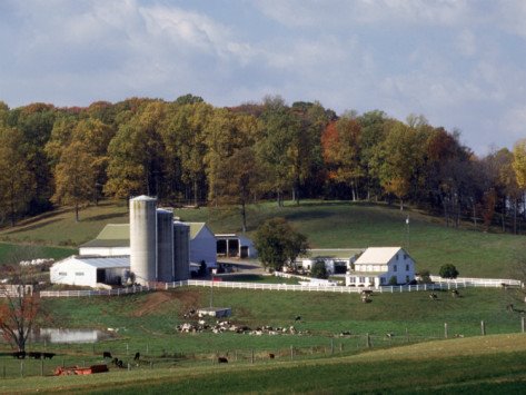 AMISH FARM