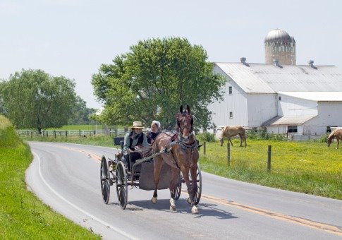 AMISH