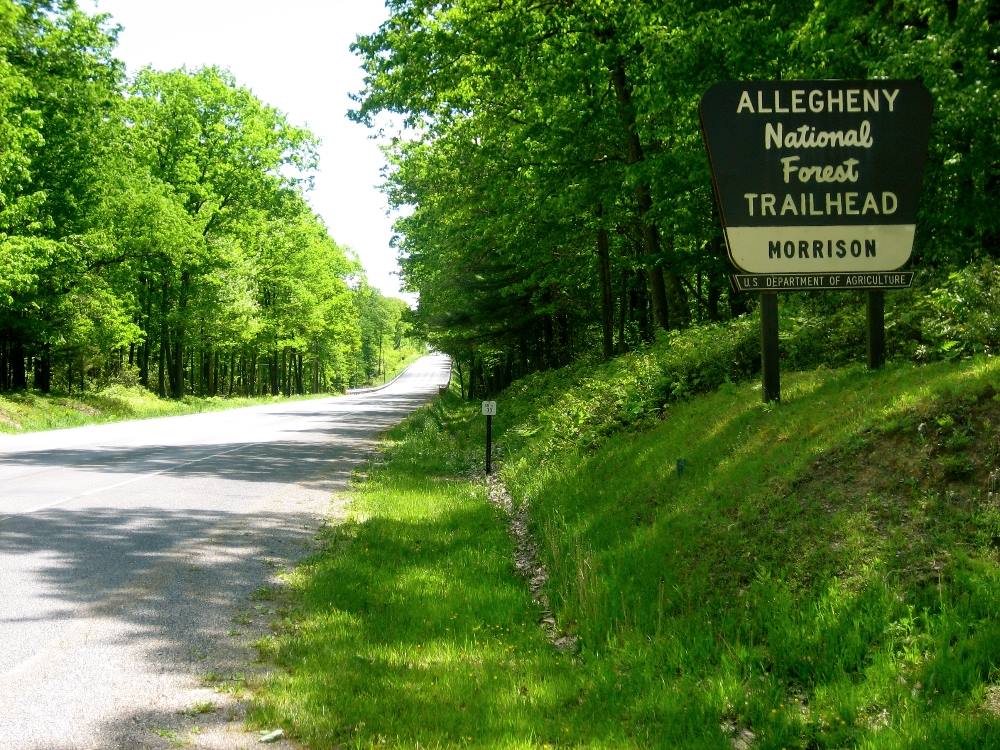 ALLEGHENY NATIONAL FOREST