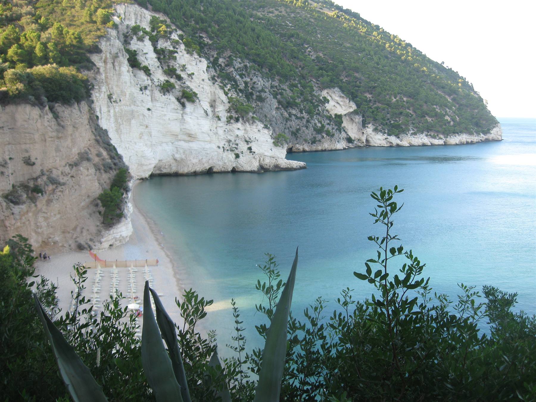 Baia delle zagare
