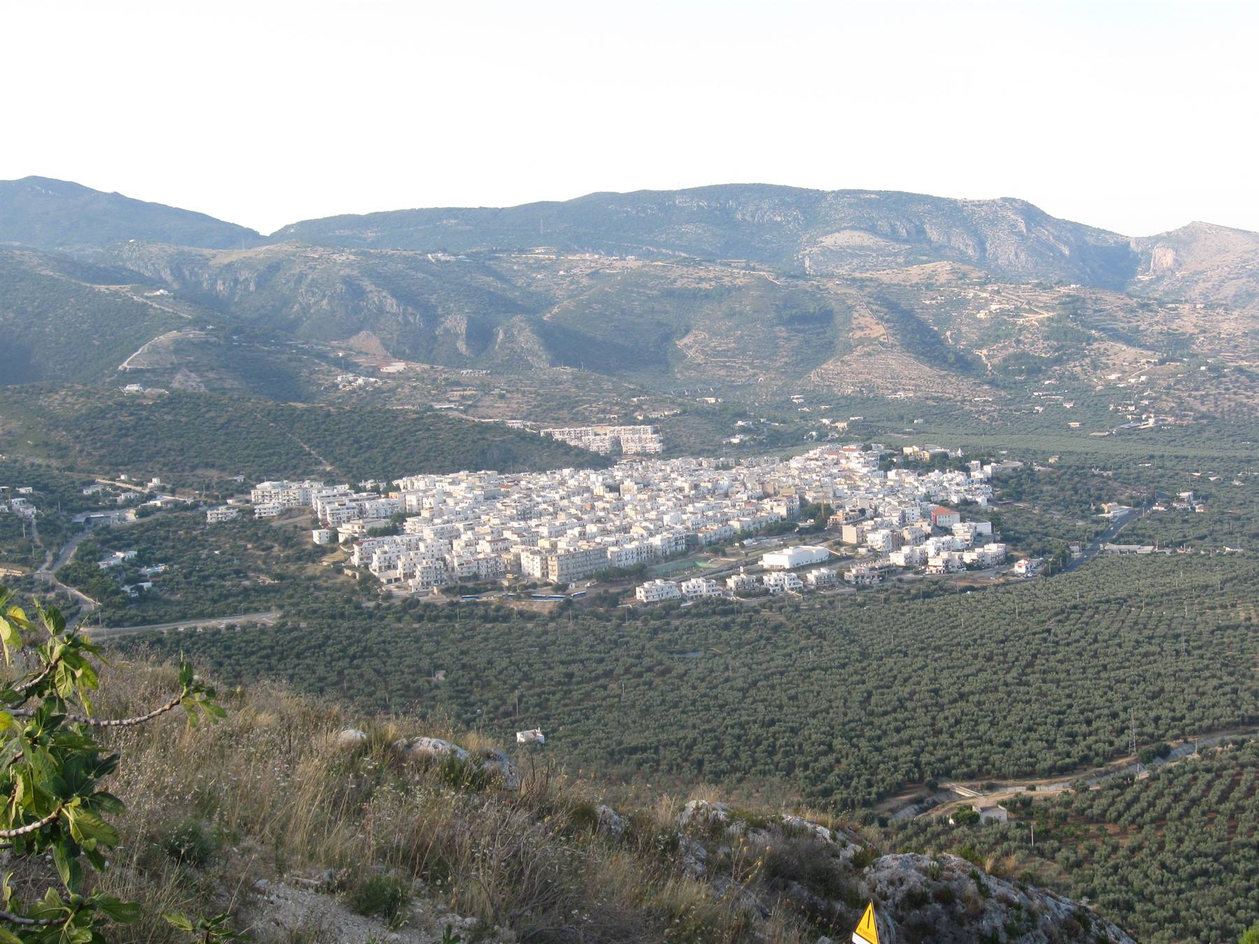 Mattinata