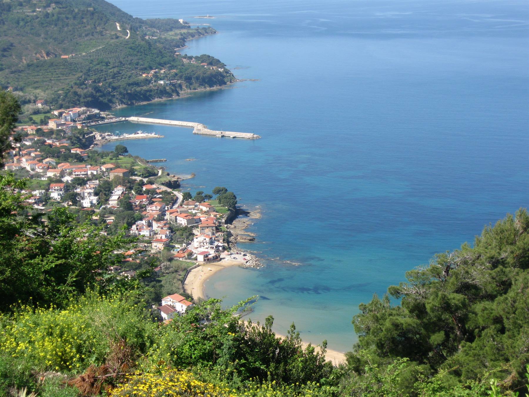 Marciana Marina, Elba: borgo sul mare, molo e spiaggia tra vegetazione