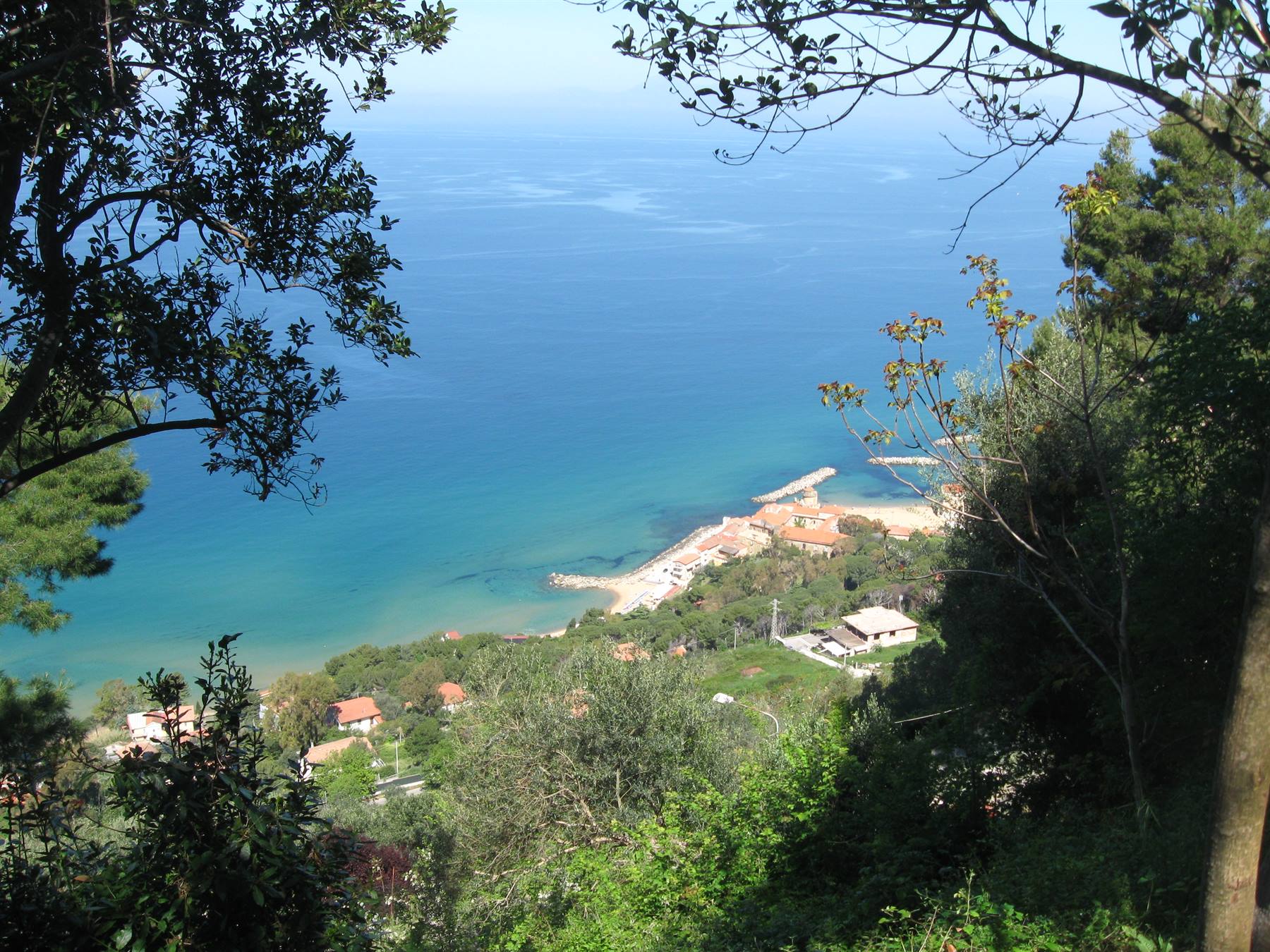 Il mare turchese sotto i rami verdi, case e spiaggia tra gli alberi