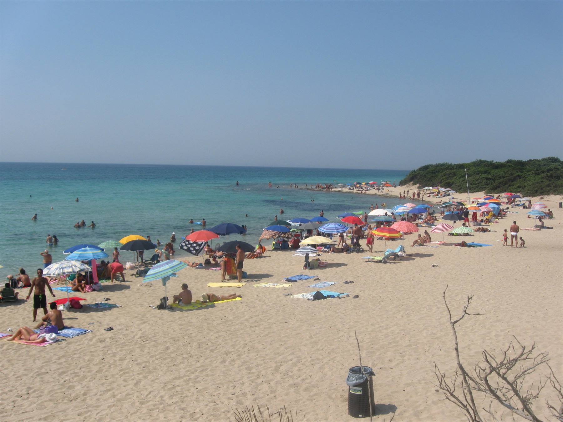 PUNTA PROCIUTTO