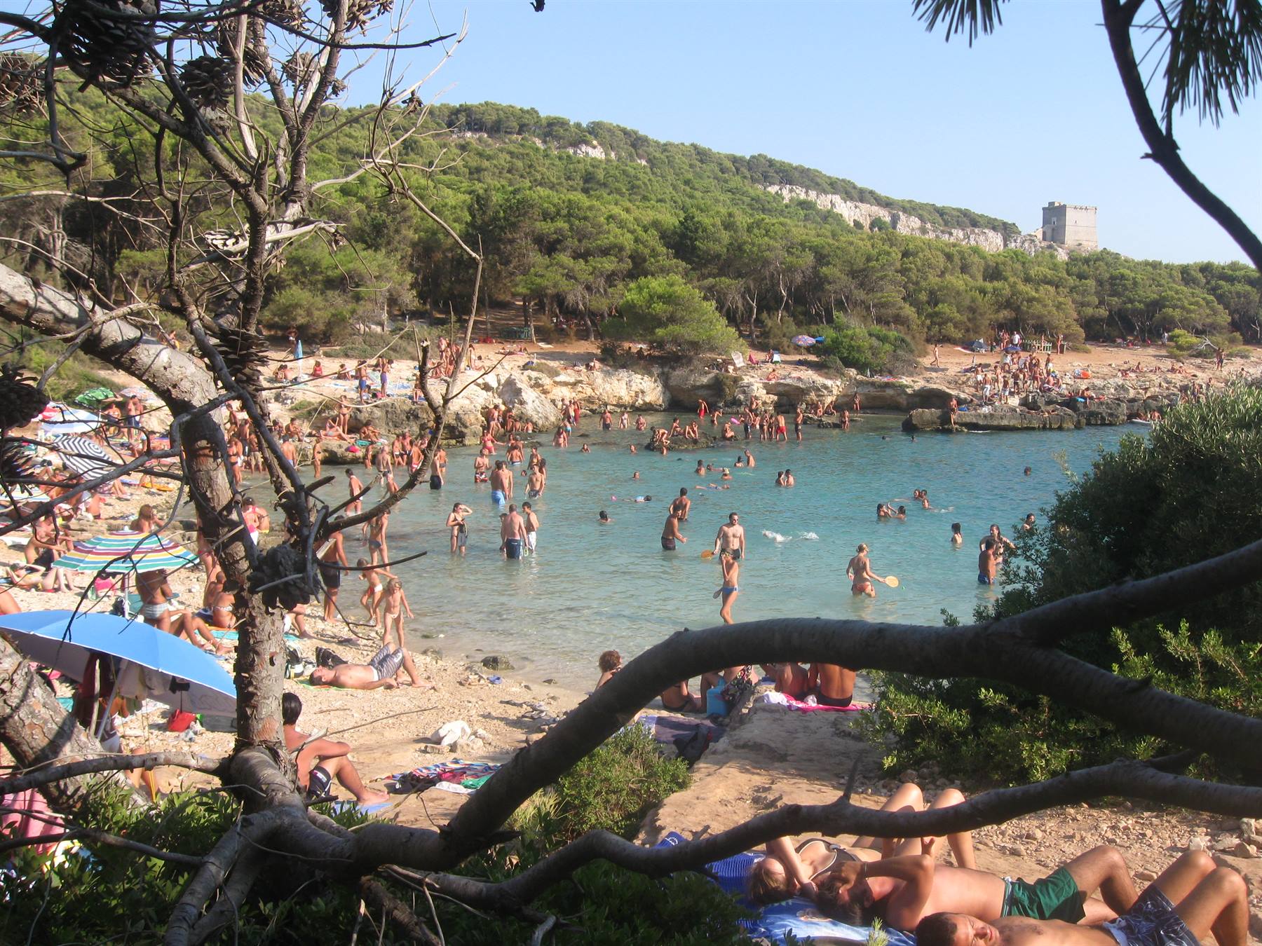 Spiaggia affollata con bagnanti tra pini e scogli, torre antica sulla collina