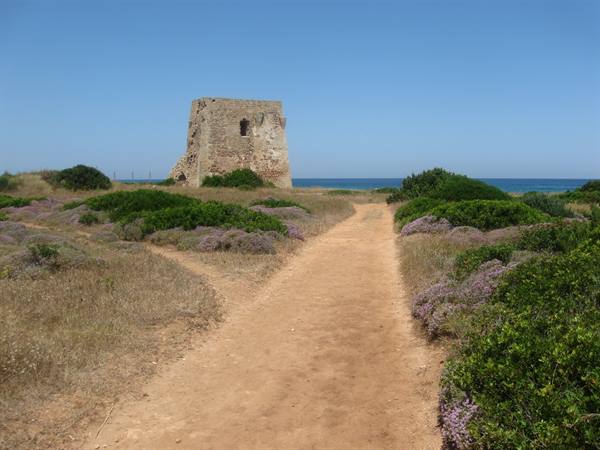 torre Pozzelle