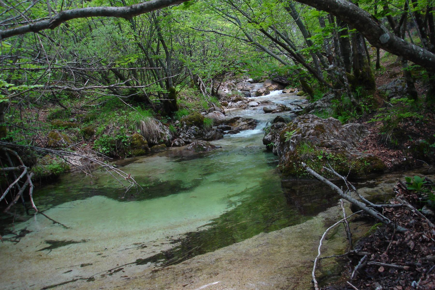 torrente Scerto