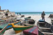 boats