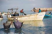fisherman