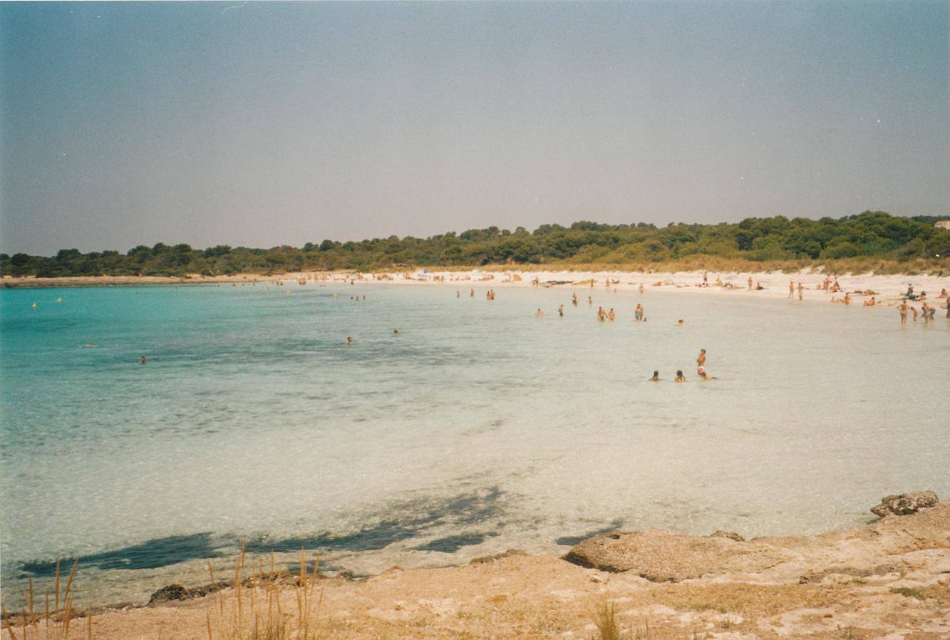 SON SAURA