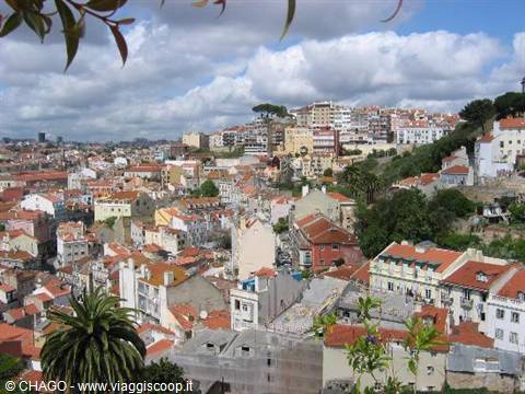 ALFAMA'