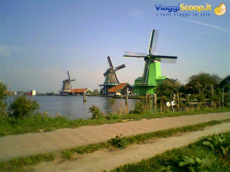 favoloso Zaanse Shans