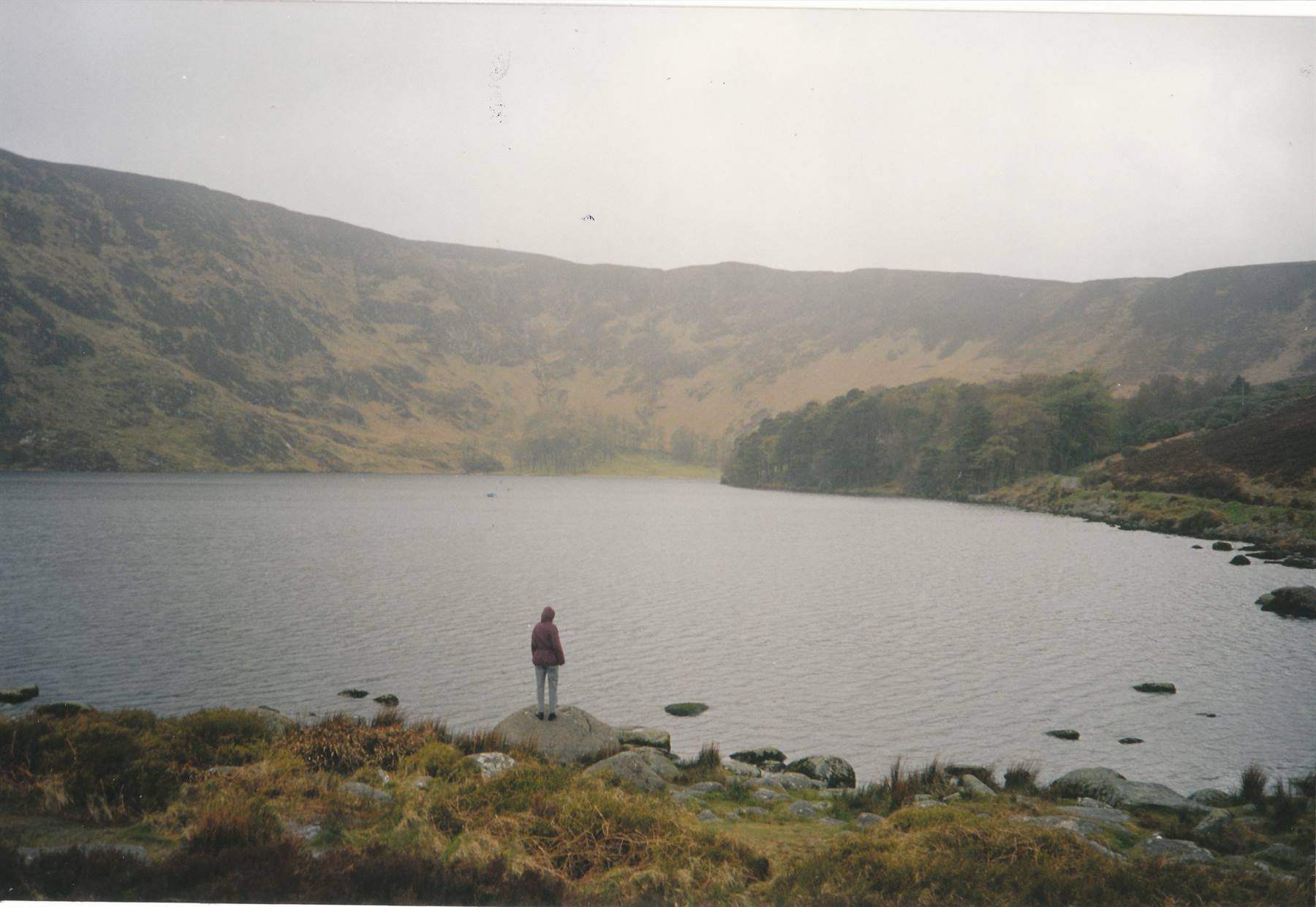 lago wicklow