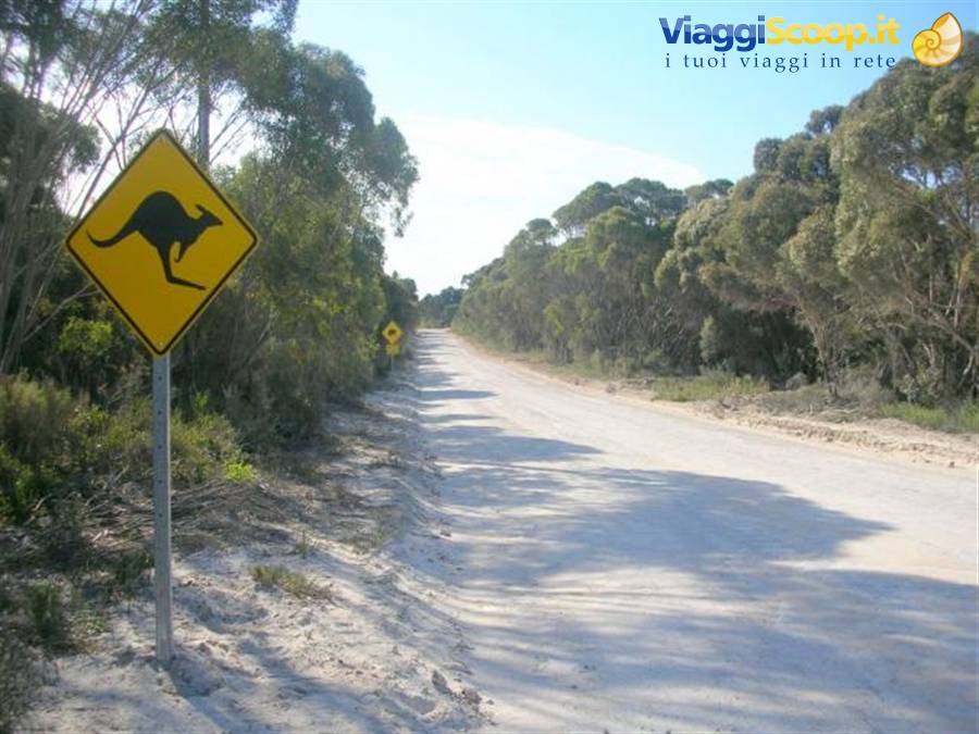 le strade di Kangaroo Island