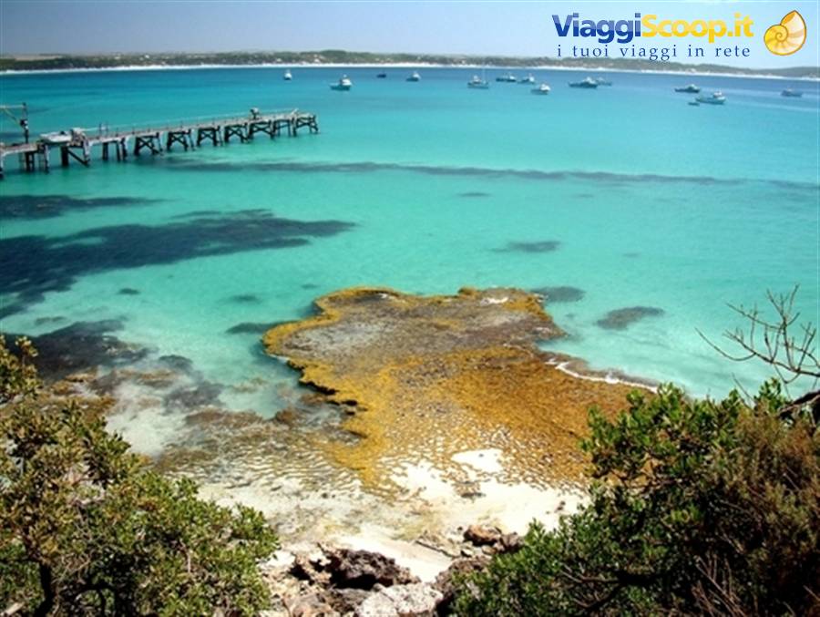 Vivonne bay