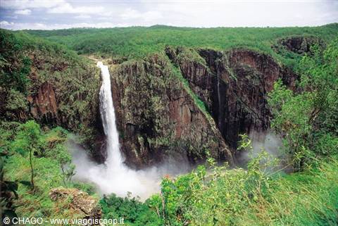 stupenda Wallaman fall
