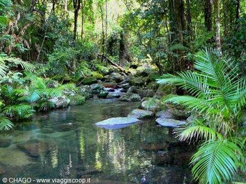 Mossman gorge