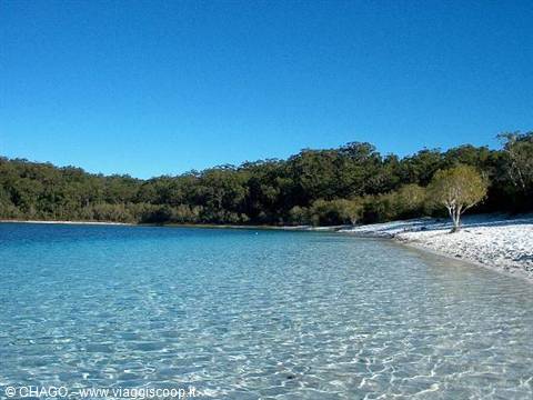 lago McKenzie