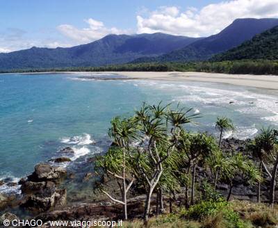 Daintree N.P.