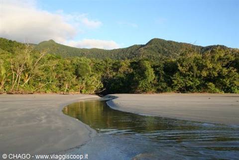 spiaggia di Daintree