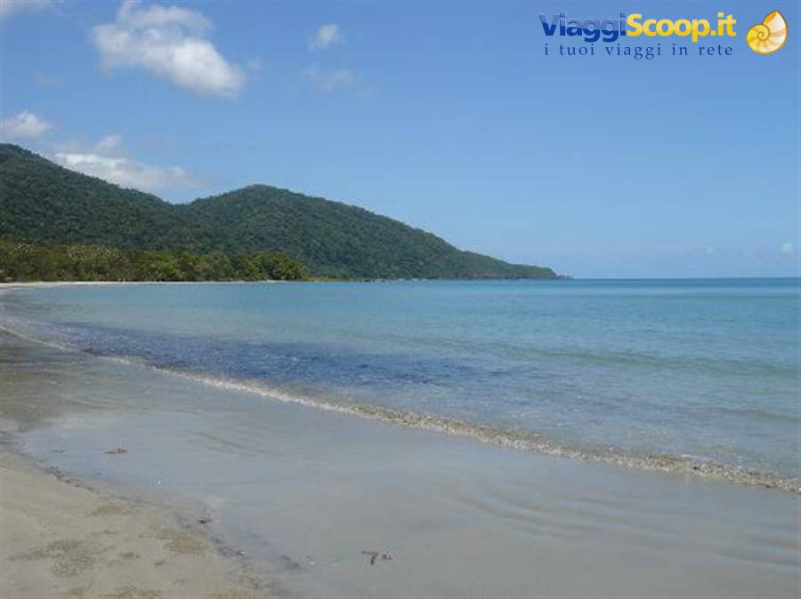 Cape Tribulation