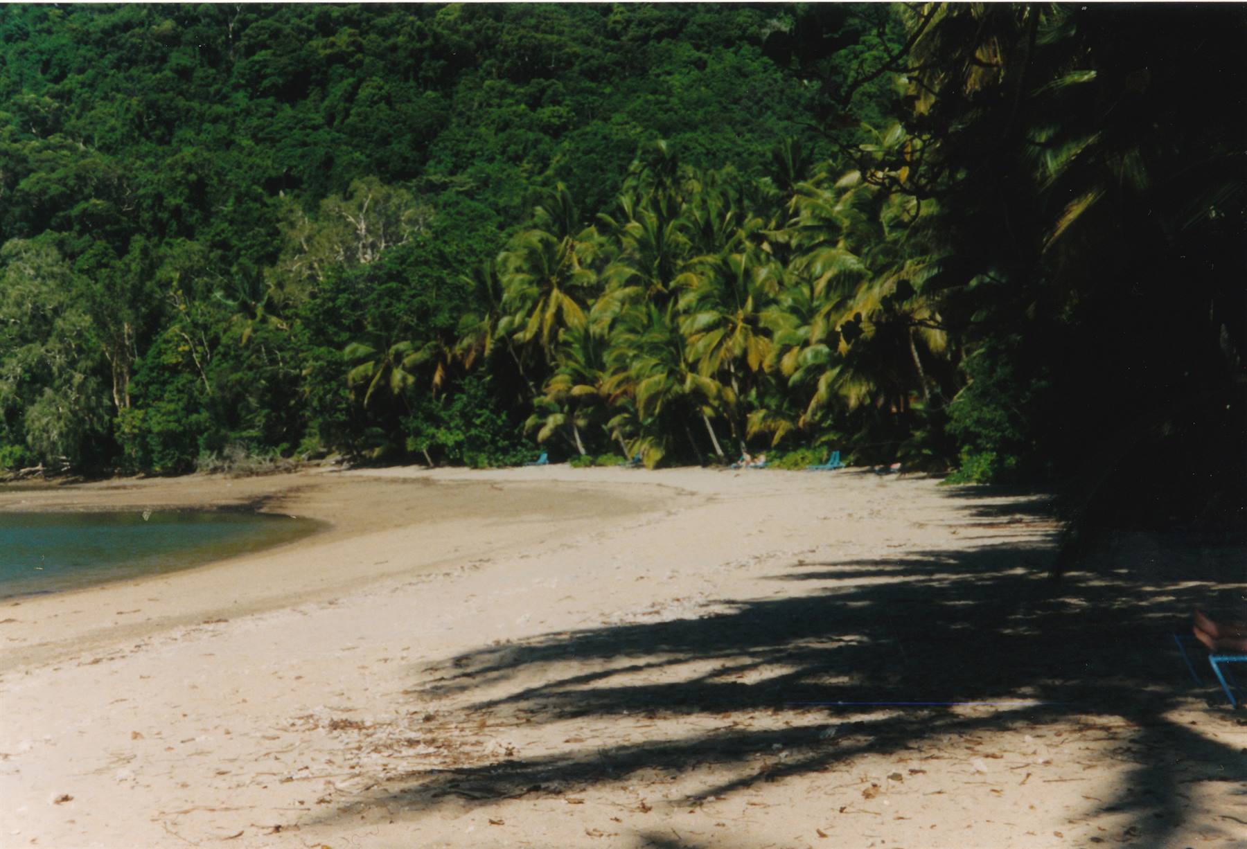 la spiaggia di Dunk island