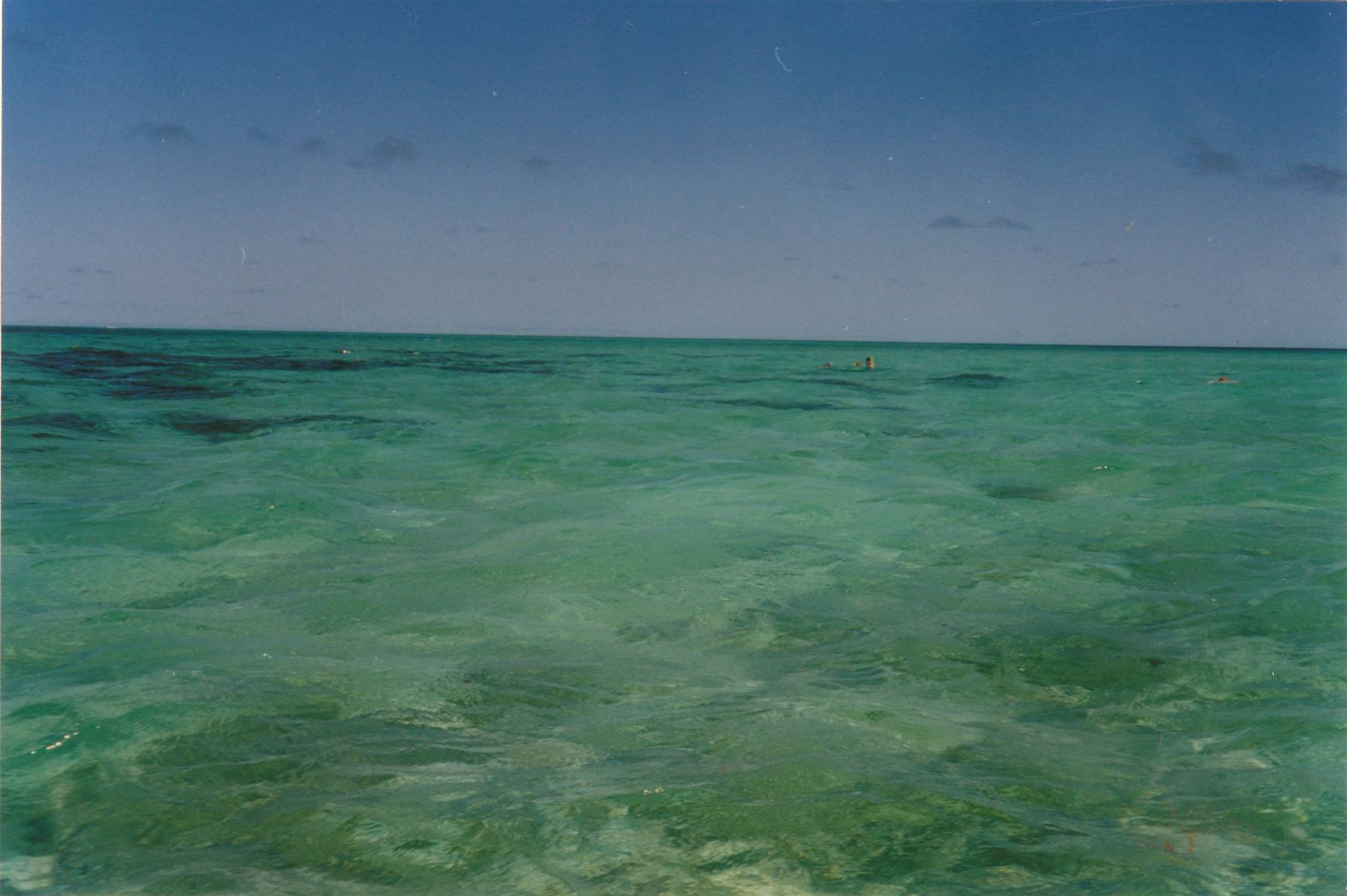 il meraviglioso mare australiano