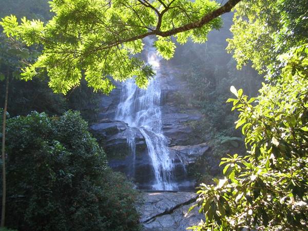 cascata da Tijuca
