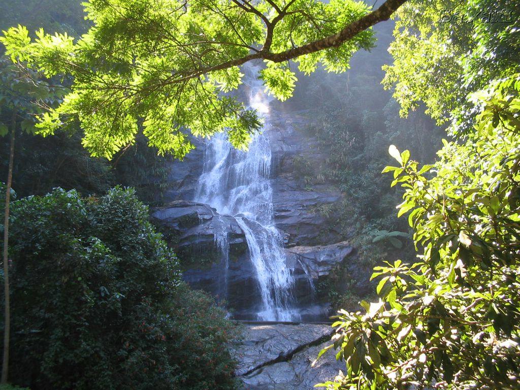 cascata da Tijuca