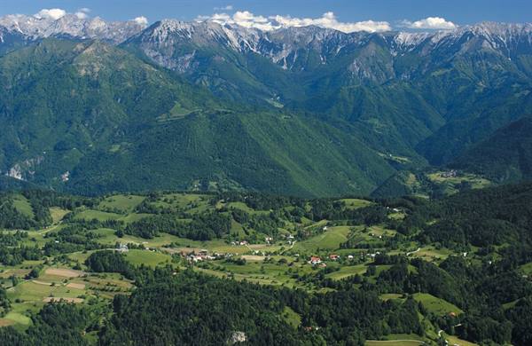 panorama