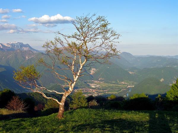 panorama