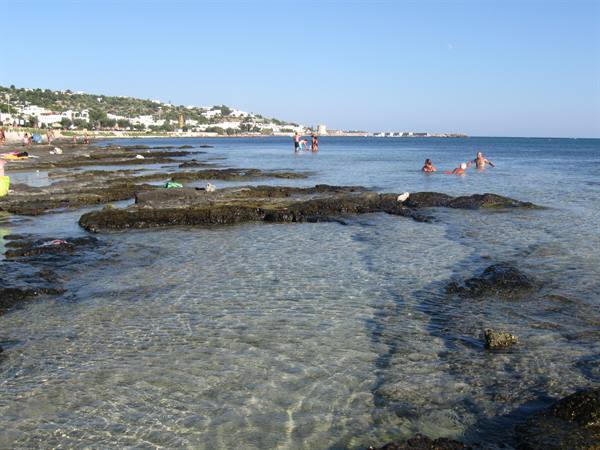 Le Sorgenti